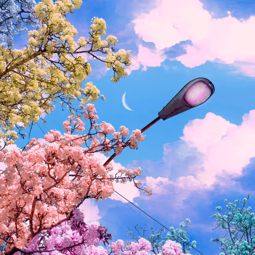 Songs from the Sun and Moon