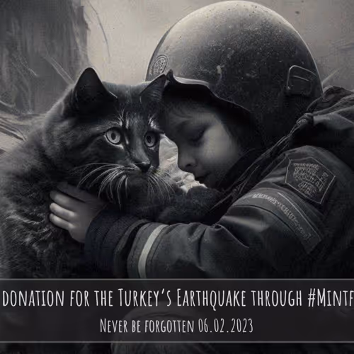 Mintforturkey 2