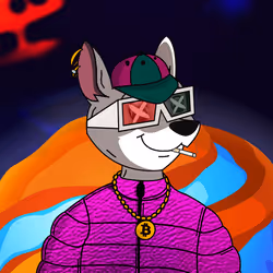 244