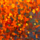 Tulipani_Edition