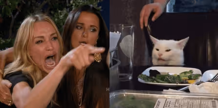 Woman yelling at a cat V2