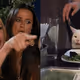 Woman yelling at a cat V2