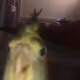 3057