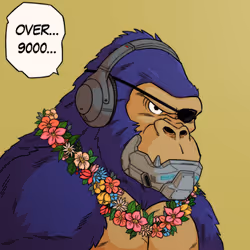 Genkai #17353