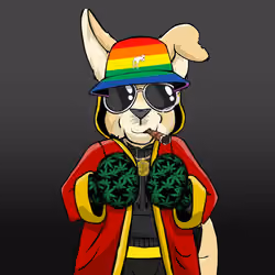Gangaroo #152