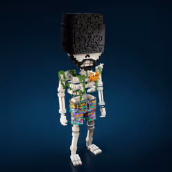 Skeleton #80