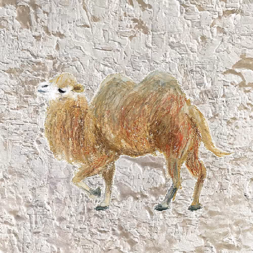 The Animal Metaverse