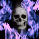 126662407941201903759655613291804005189970731031