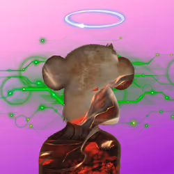 26
