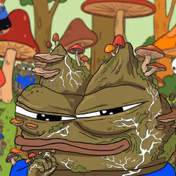 Fungi Apu - Sus Apu #6 