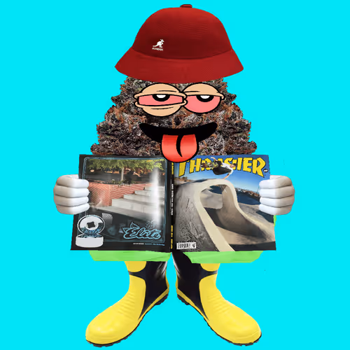 Item #5 Media
