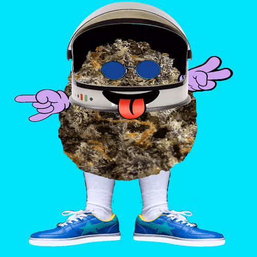 Item #0 Media