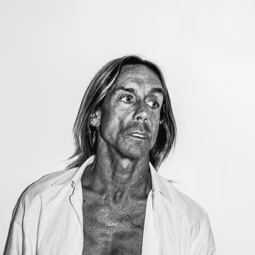 207faces Of Iggy Rainer Hosch