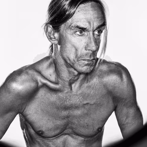 207faces Of Iggy Rainer Hosch