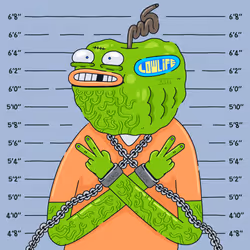24
