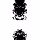 4041