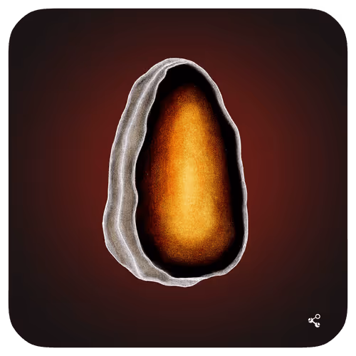 49960749457598712322788895630138282226529237780333228976559956897730731705557