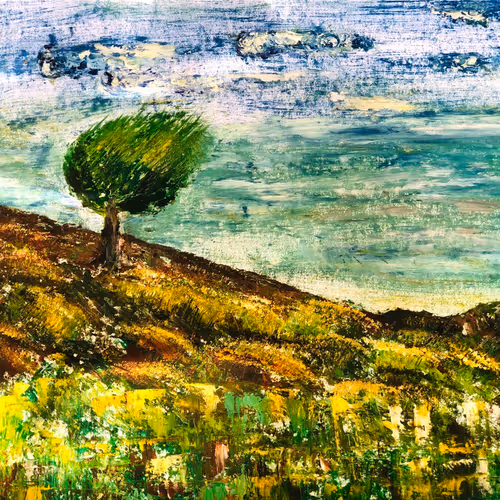 Tree S Of Seasons Life