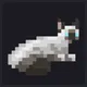 Cat#52