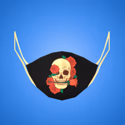 Skull Protection Mask