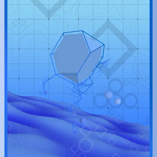 maxxman.eth