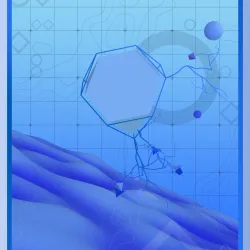 0xfive.eth