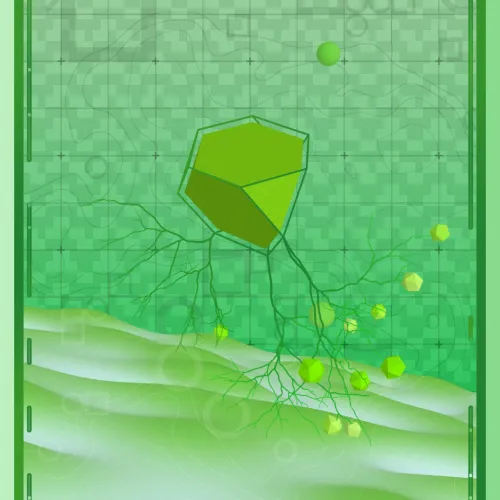 arezu.eth