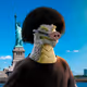 7244