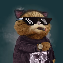 Chronocat #1
