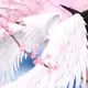 Friends of Kinami