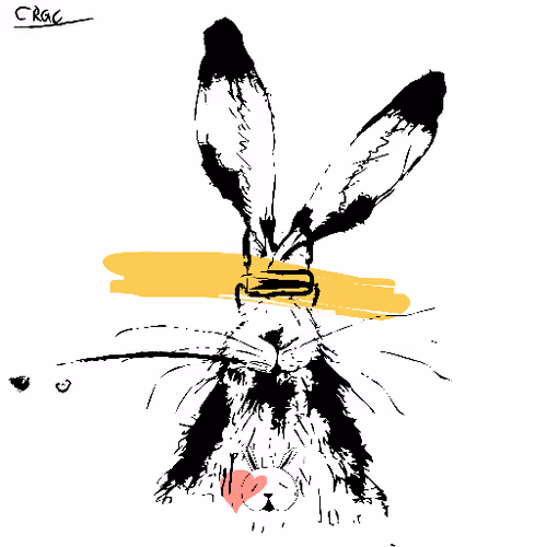 Careless Rabbit #609
