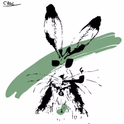 Careless Rabbit #335