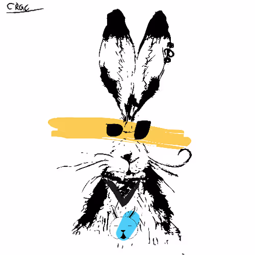 Careless Rabbit