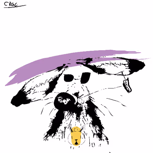 Careless Rabbit