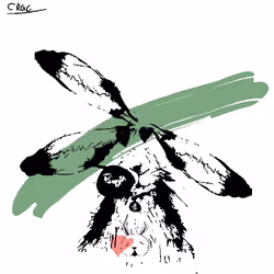 Careless Rabbit #302