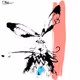 404