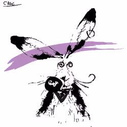 Careless Rabbit #378