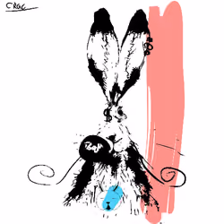 Careless Rabbit #300