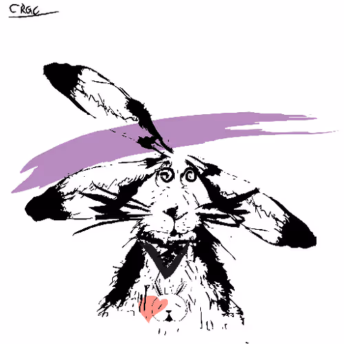 Careless Rabbit