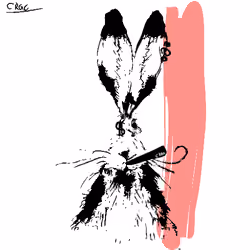 Careless Rabbit #343
