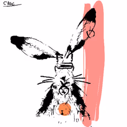 Careless Rabbit #58