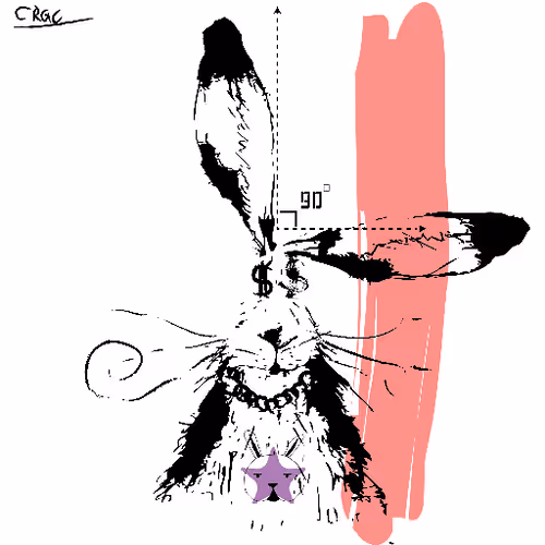 Careless Rabbit