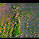 408