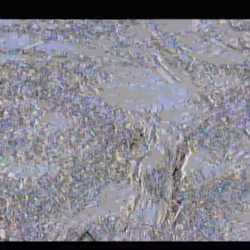 97