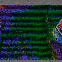 45