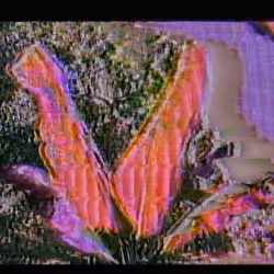 172