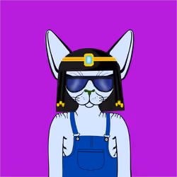 Toronto Sphynx Cats #281