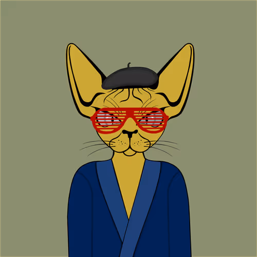 Toronto Sphynx Cats V2