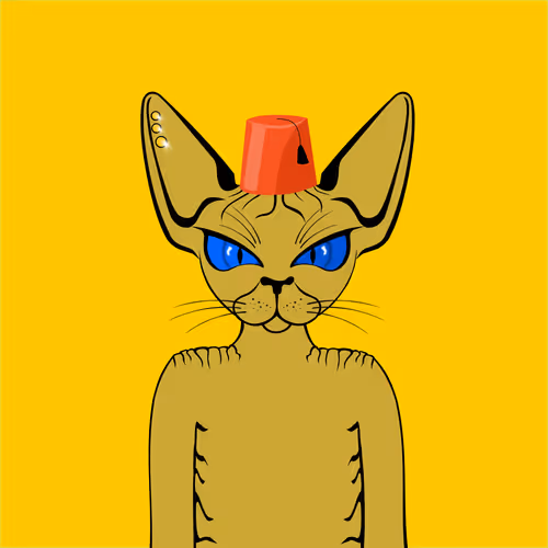 Toronto Sphynx Cats V2