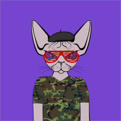 Toronto Sphynx Cats V2